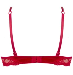 Gefütterter Seiden BH SPLENDEUR SOIE Von Lise Charmel 26 Gefütterter Seiden BH SPLENDEUR SOIE Von Lise Charmel -Feine Unterwaesche Geschaft bh gefuettert seide acc8580b rot 2478 splendeur soie lise charmel 1
