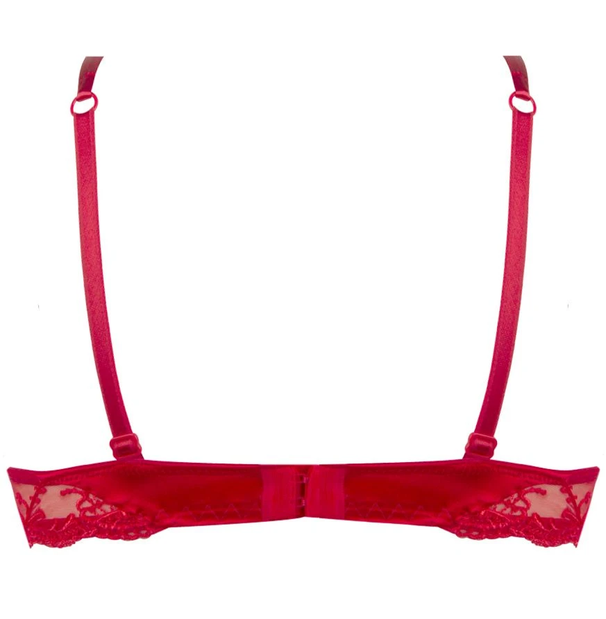 Gefütterter Seiden BH SPLENDEUR SOIE Von Lise Charmel 7 Gefütterter Seiden BH SPLENDEUR SOIE Von Lise Charmel – Bild 7