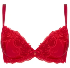 Gefütterter Seiden BH SPLENDEUR SOIE Von Lise Charmel 34 Gefütterter Seiden BH SPLENDEUR SOIE Von Lise Charmel -Feine Unterwaesche Geschaft bh gefuettert seide acc8580d rot 2478 splendeur soie lise charmel 2 1