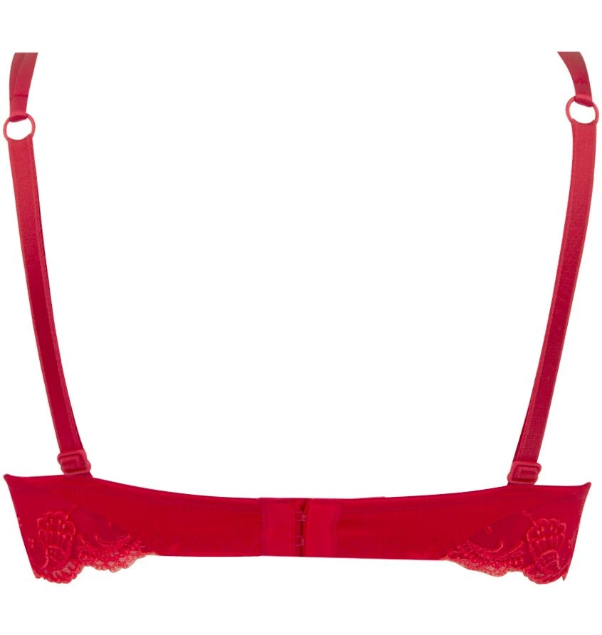 Gefütterter Seiden BH SPLENDEUR SOIE Von Lise Charmel 16 Gefütterter Seiden BH SPLENDEUR SOIE Von Lise Charmel – Bild 16