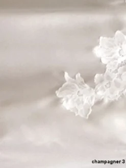 Seta Superior Seiden-Nachtkleid STUPENDA Lang Von Cotton Club -Feine Unterwaesche Geschaft farbfeld seide spitze champagner seta superior cotton club 1 1