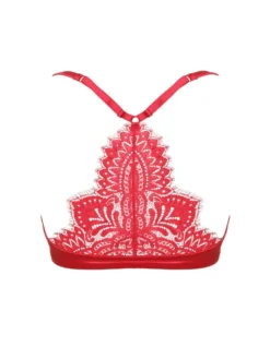 Push Up BH Mit Spitzenrücken BLACK SWAN Von Prelude Milano -Feine Unterwaesche Geschaft push up bh gelkissen ys282 rot black swan prelude milano 3