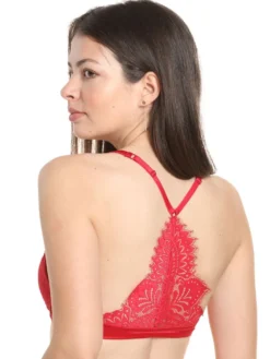 Push Up BH Mit Spitzenrücken BLACK SWAN Von Prelude Milano -Feine Unterwaesche Geschaft push up bh gelkissen ys282 rpt black swan prelude milano