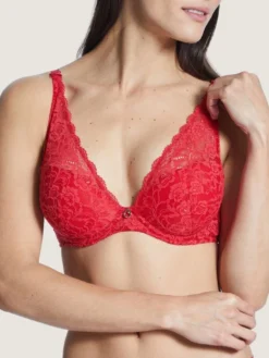 Push-Up BH ROSESSENCE HK Spitze Von Aubade 22 Push-Up BH ROSESSENCE HK Spitze Von Aubade -Feine Unterwaesche Geschaft triangel bh hk81 gala 2 2 rosessence aubade 1 1